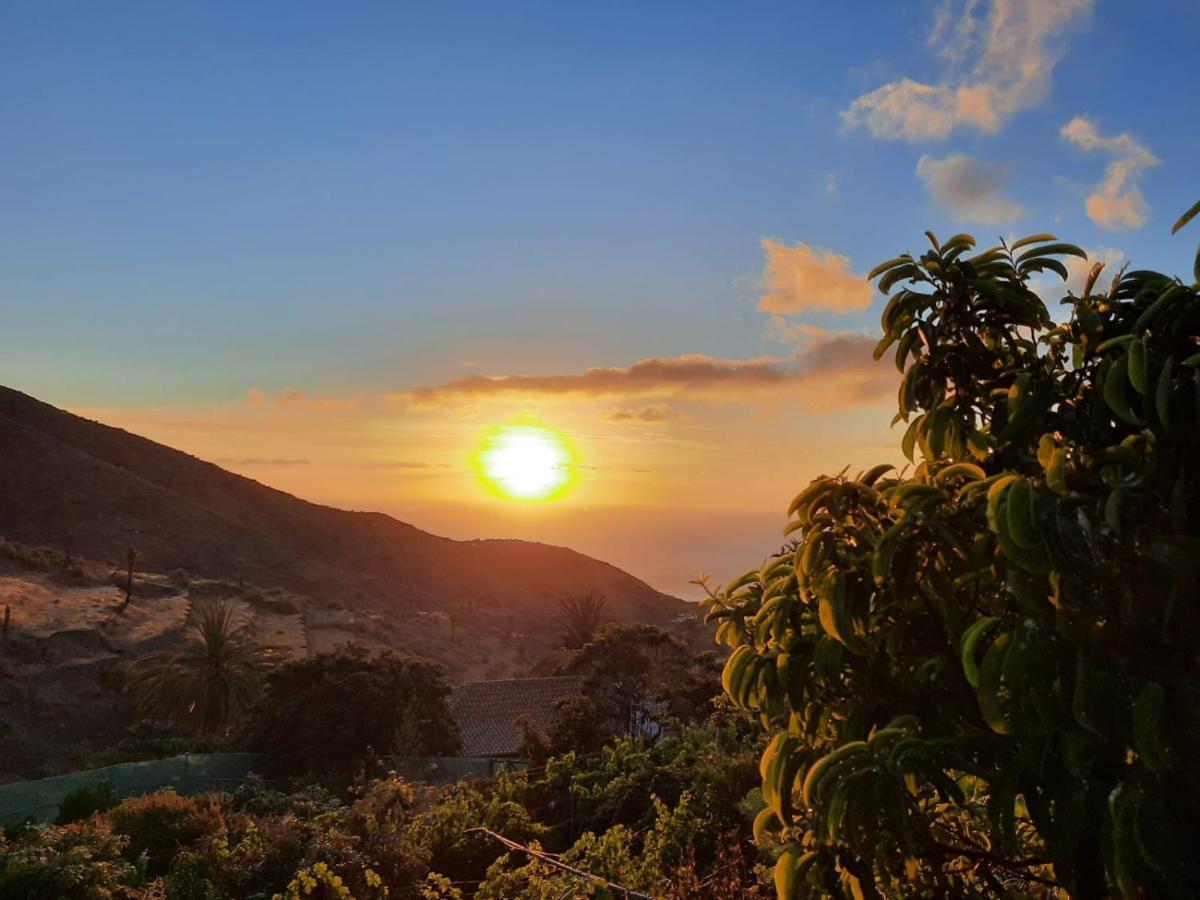 La Vega * Alojera
