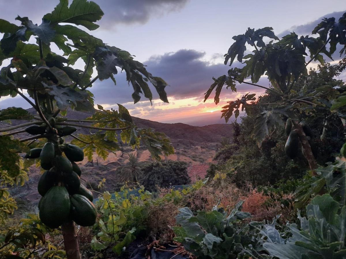 La Vega Alojera